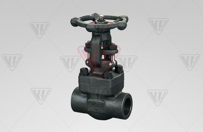 Forged Steel Female Thread, Socket Welded Gate Valve