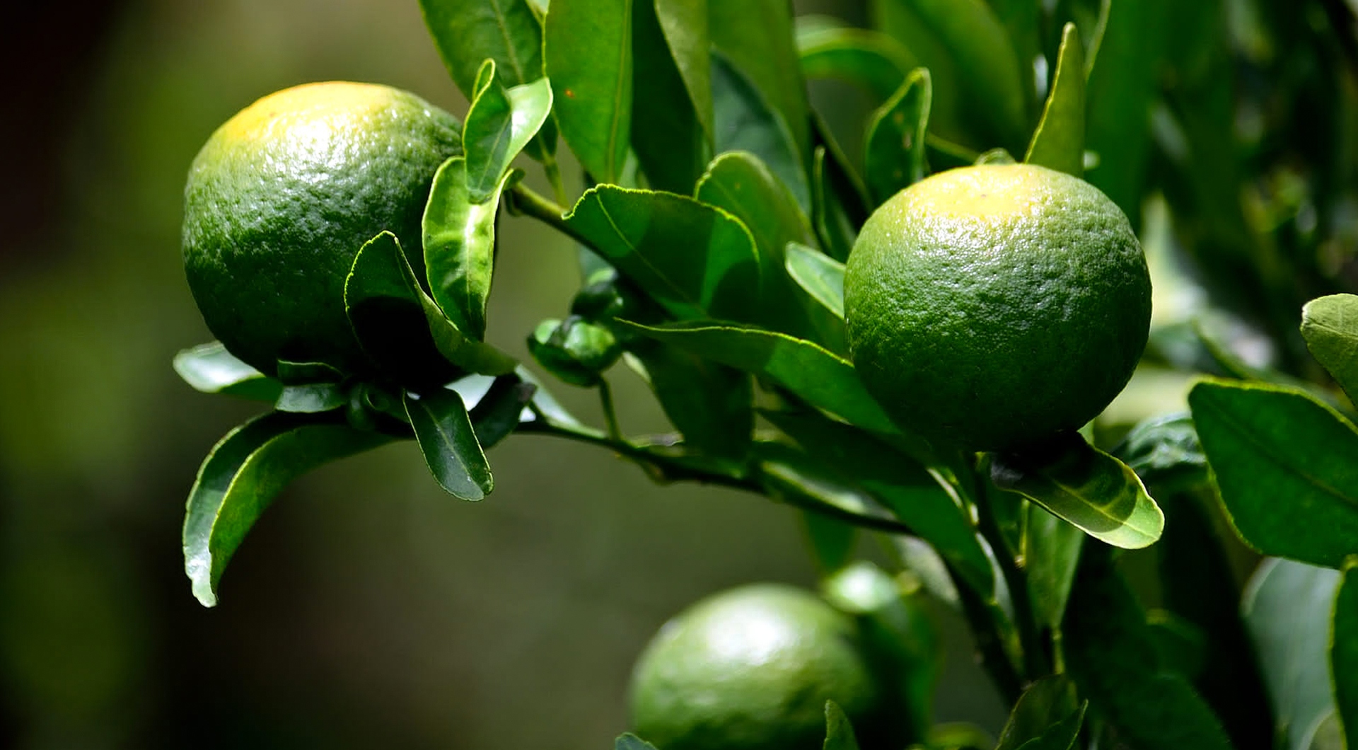 永乐高·70net(中国)有限公司官网-BinG百科