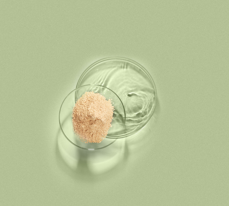 永乐高·70net(中国)有限公司官网-BinG百科