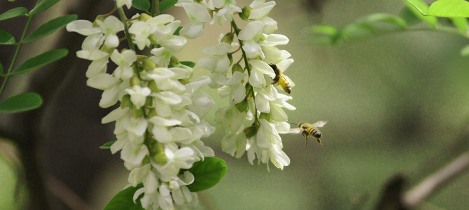 永乐高·70net(中国)有限公司官网-BinG百科