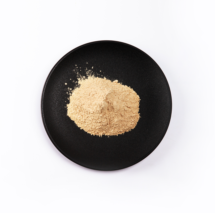 永乐高·70net(中国)有限公司官网-BinG百科